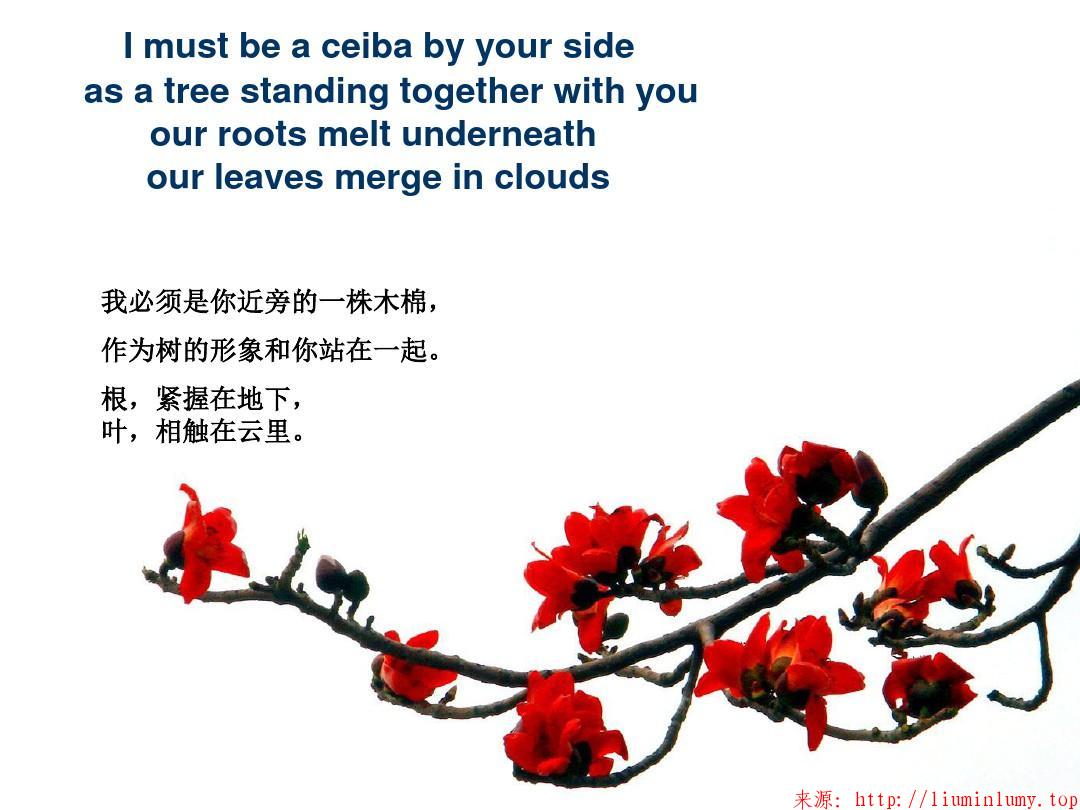 雾里看花